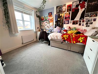 Picture 13
